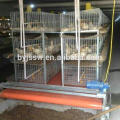 Good Design H Type Meat Broiler Jaulas de pollo para la venta Cheap